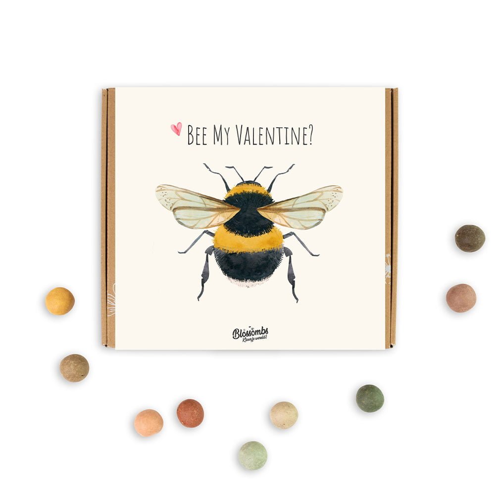 Blomsterfrø, Mellem gaveboks, Bee my Valentine, Blossombs
