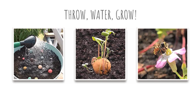 Blomsterfrø, Lille gaveboks, Thank you, Blossombs