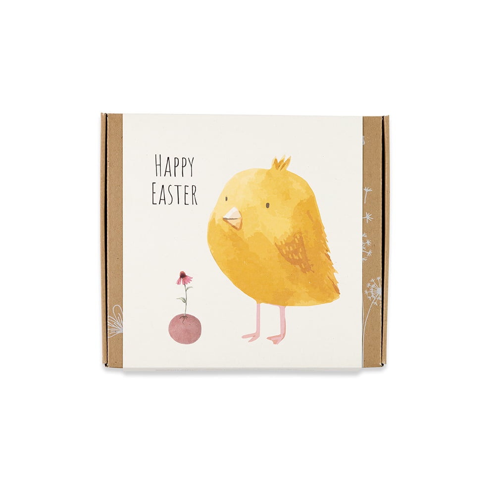 Blomsterfrø, Mellem gaveboks, Påskekylling, Happy Easter, Blossombs