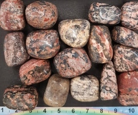 Jaspis leopard, Sten