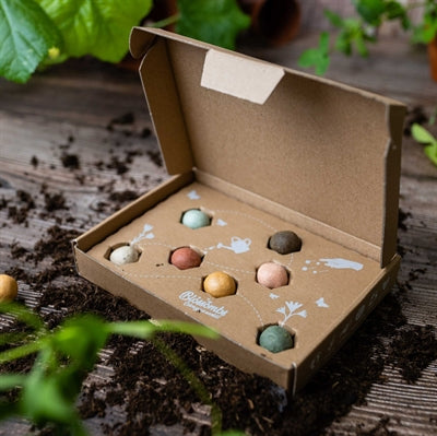 Blomsterfrø, Lille gaveboks, Til læreren eller pædagogen, Blossombs