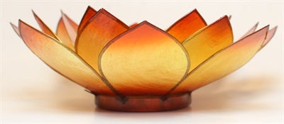 Lotus Stage, Chakra, Gul