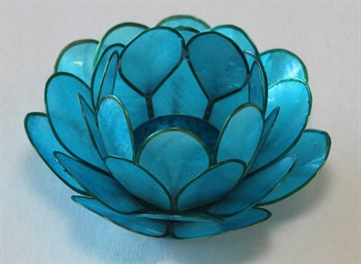 Lotus Stage, Light Aqua