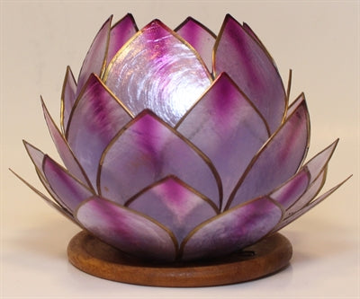 Lotus Stage, Wood Amethyst Dream