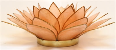 Lotus Stage XL, Peach