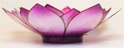 Lotus Stage, Chakra, Violet