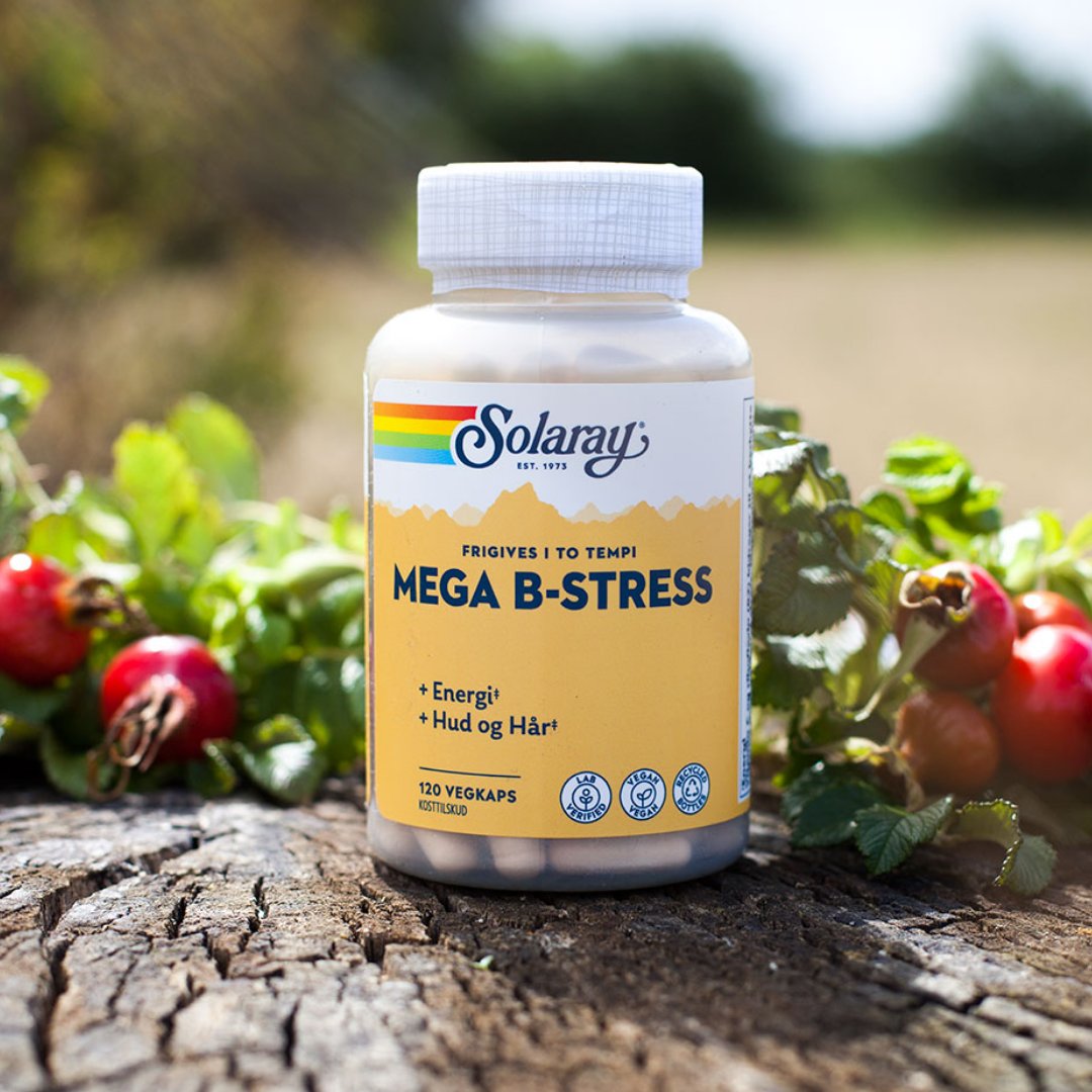 Mega B-Stress, 120 kap., Solaray