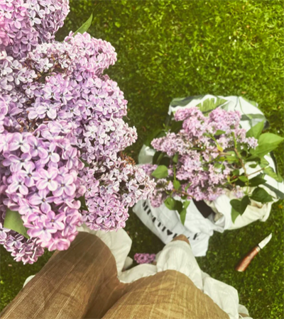 Pot Of Gold, Herbal Salvation