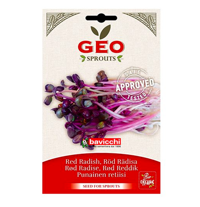 Radisefrø rød til spiring