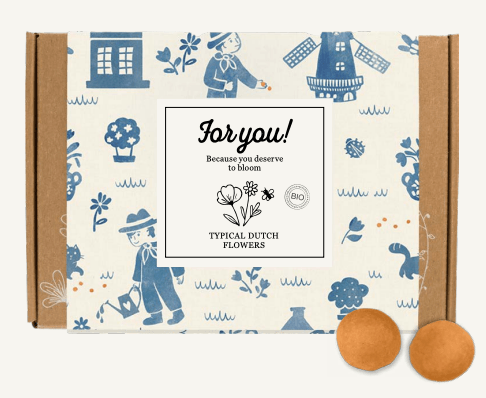 Blomsterfrø, Lille gaveboks, For you, Blossombs