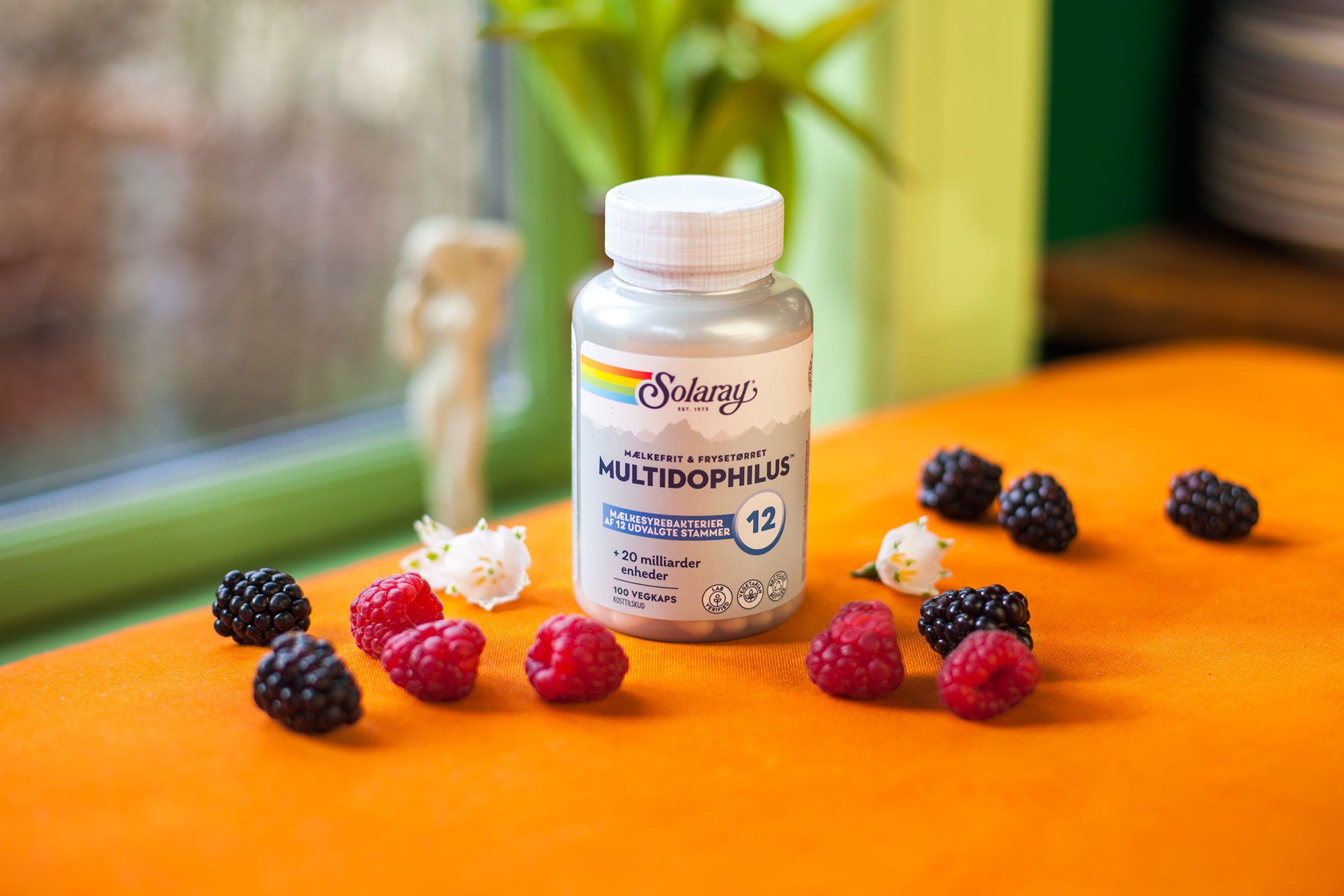 Multidophilus 12, 100 kap., Solaray