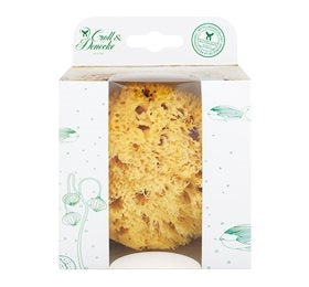 Natursvamp (12 cm) i gaveæske