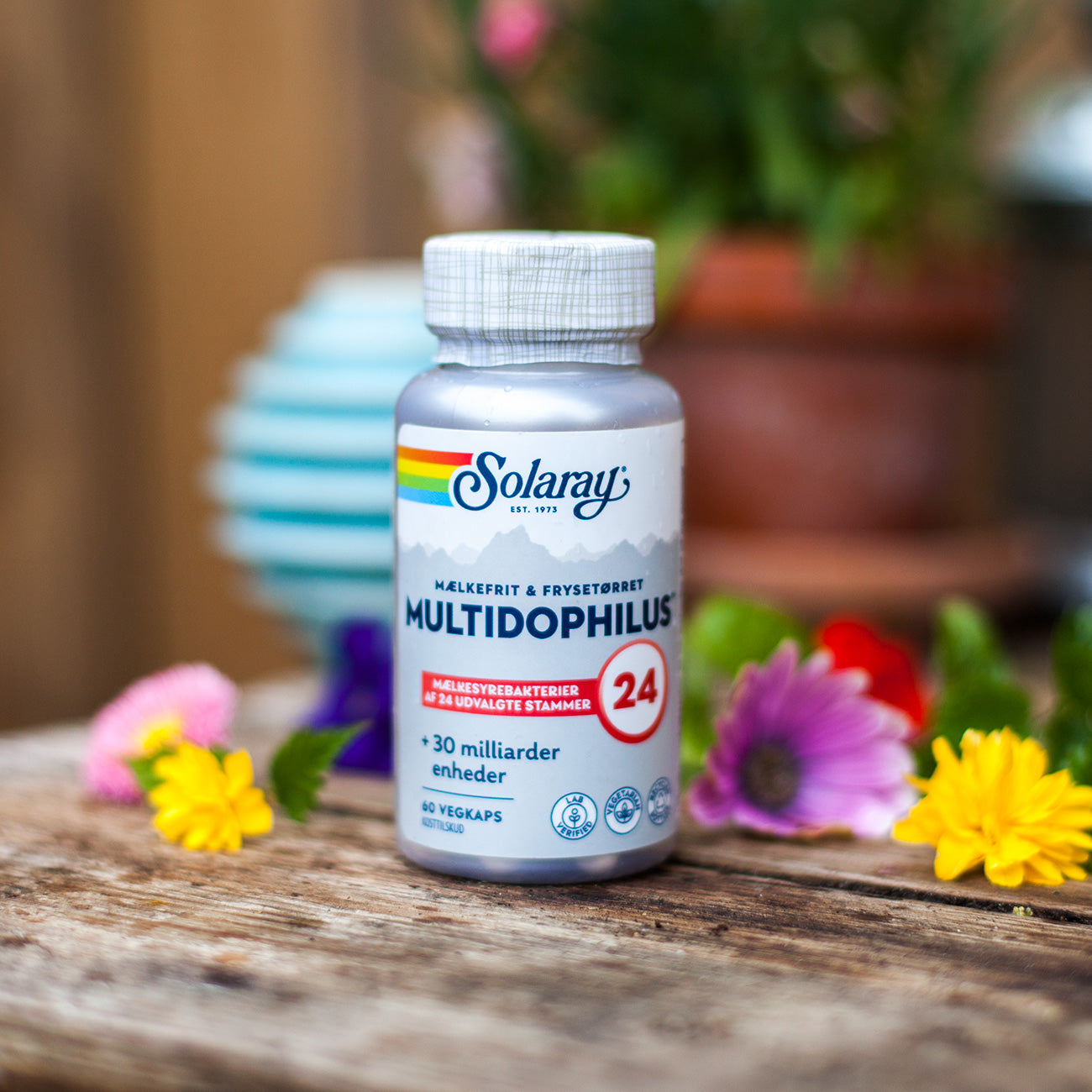 Multidophilus 24, 60 kap., Solaray