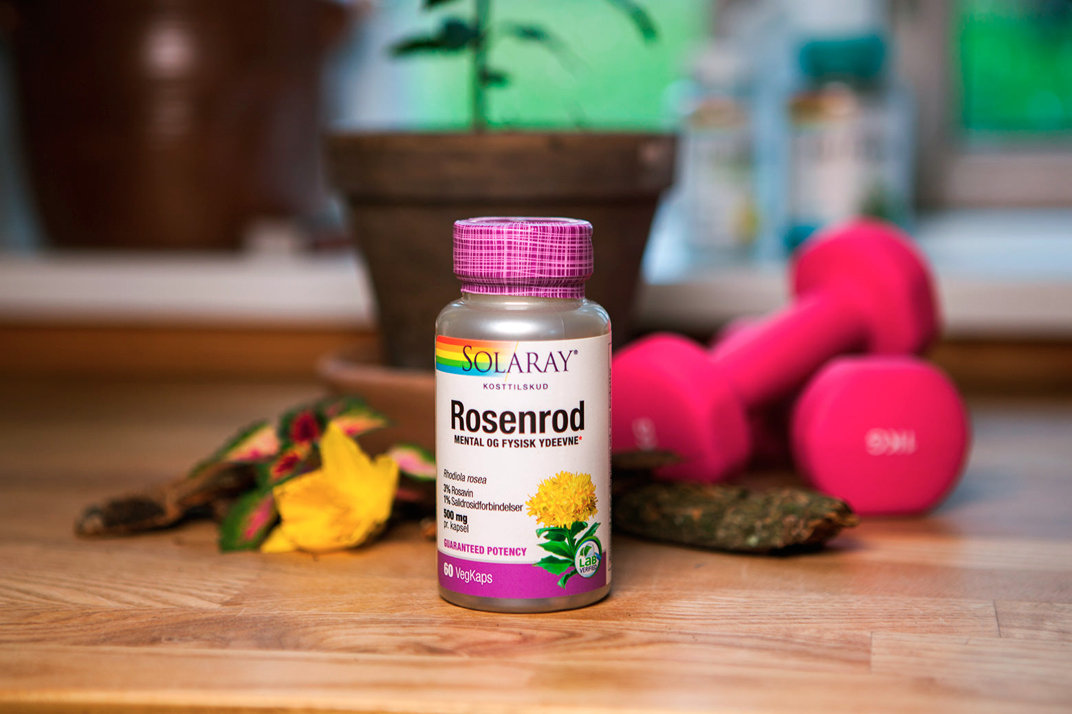 Rosenrod, 60 kap., Solaray