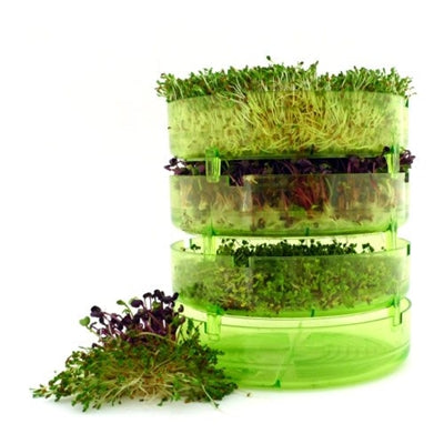 Spire bakke, Geo plus