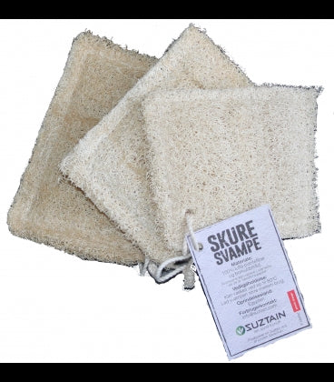 skuresvamp - 3 pk., Suztain