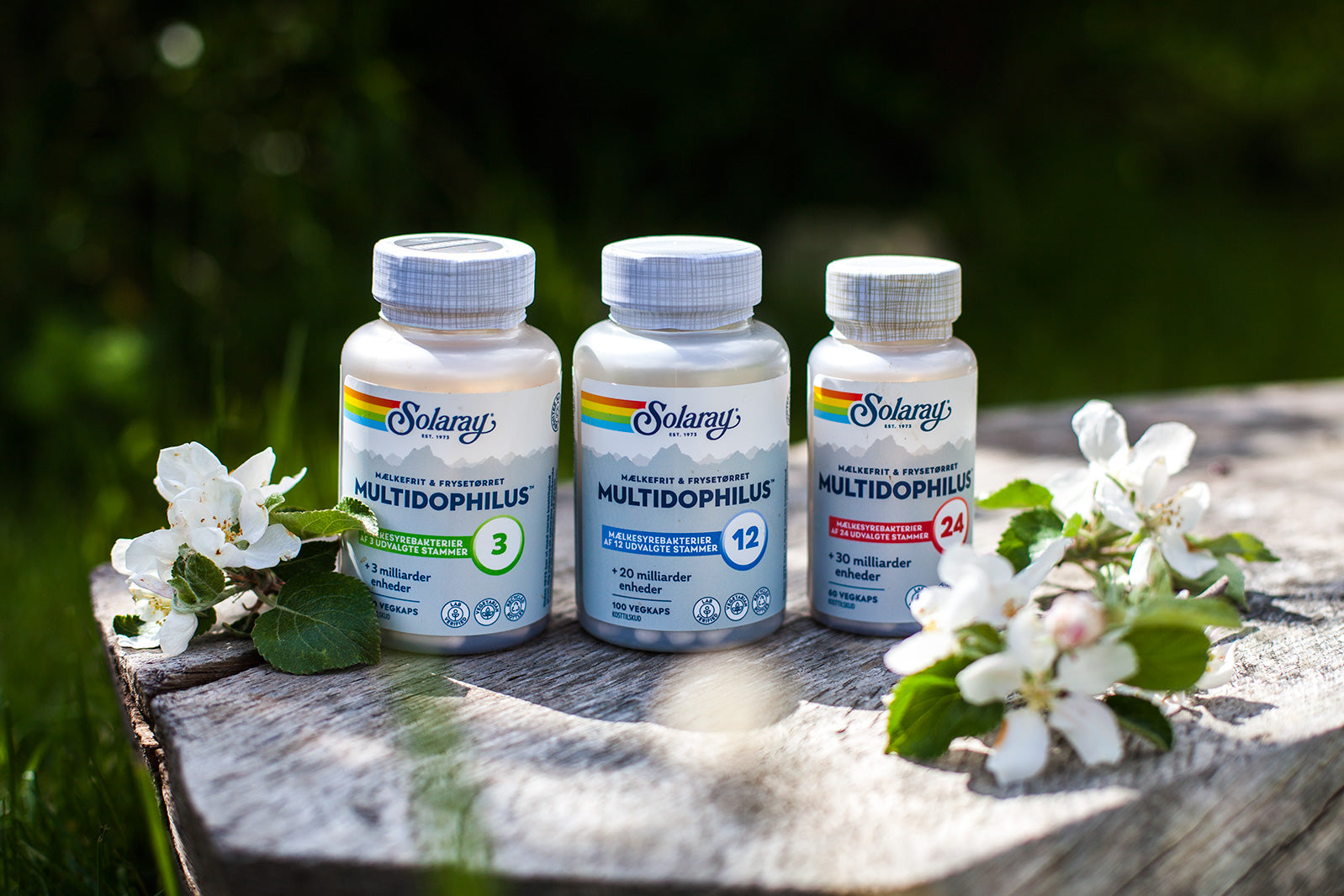 Multidophilus, 3 stammer, 100 kap., Solaray