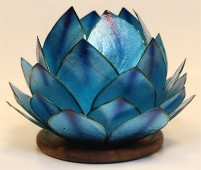 Lotus Stage, Blue Dream