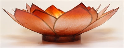 Lotus Stage, Chakra, Orange