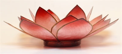 Lotus Stage, Chakra, Rød