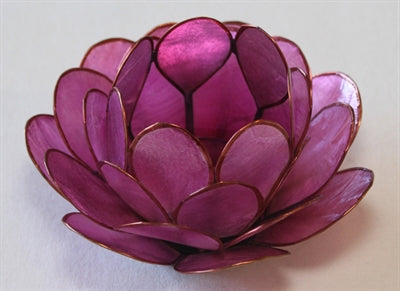 Lotus Stage, Lavender