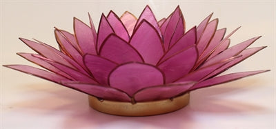 Lotus Stage XL, Lavender