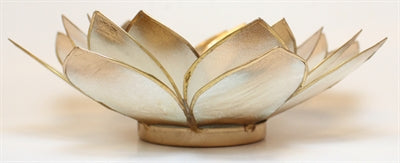 Lotus Stage, Chakra, White