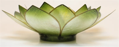 Lotus Stage, Chakra, Grøn