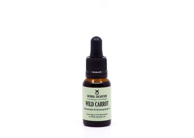 Wild Carrot Oil, Herbal Salvation