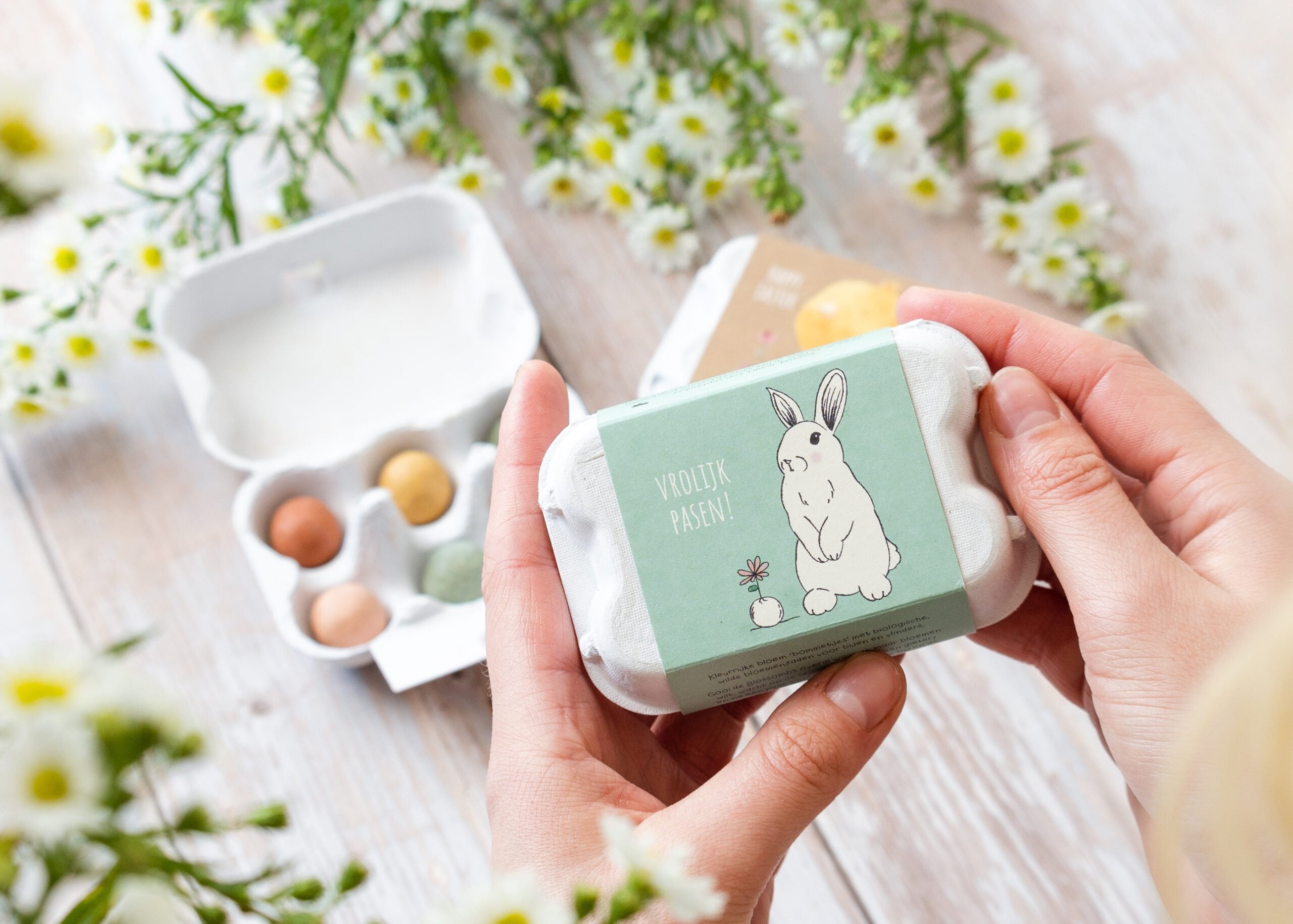 Blomsterfrø i æggebakke, Påskehare, Blossombs