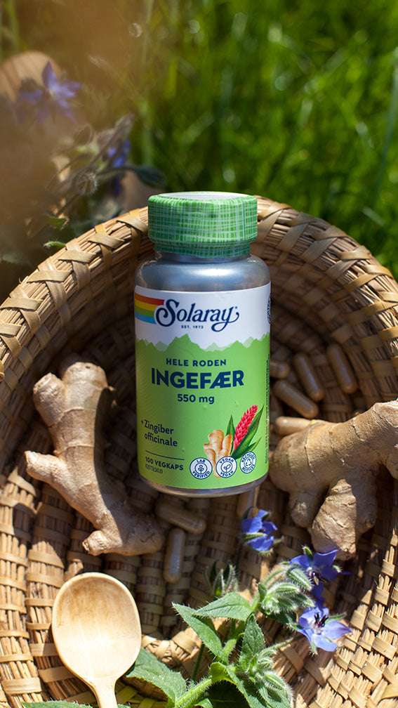 Ingefær, Solaray