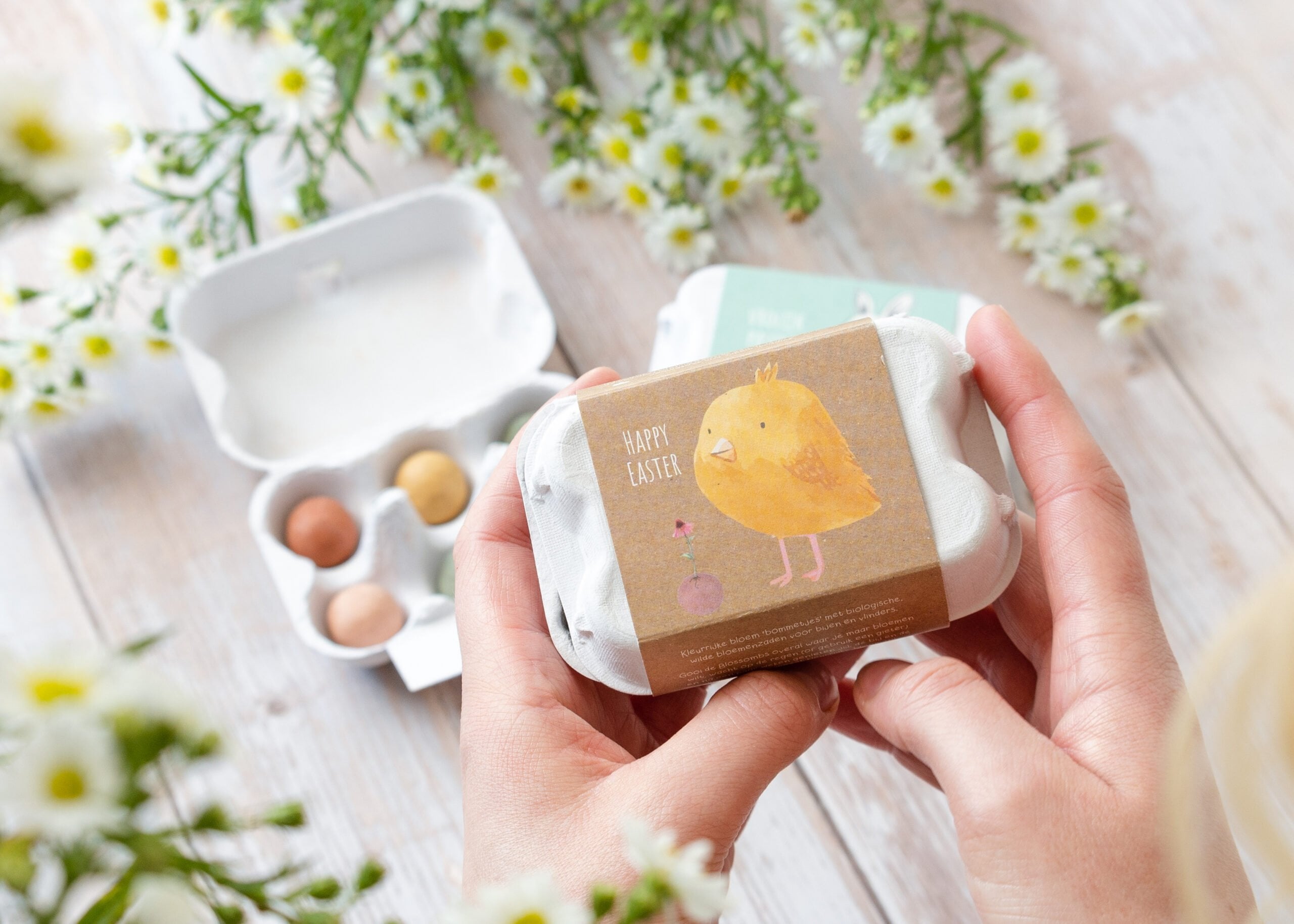 Blomsterfrø i æggebakke, Påskekylling, Blossombs