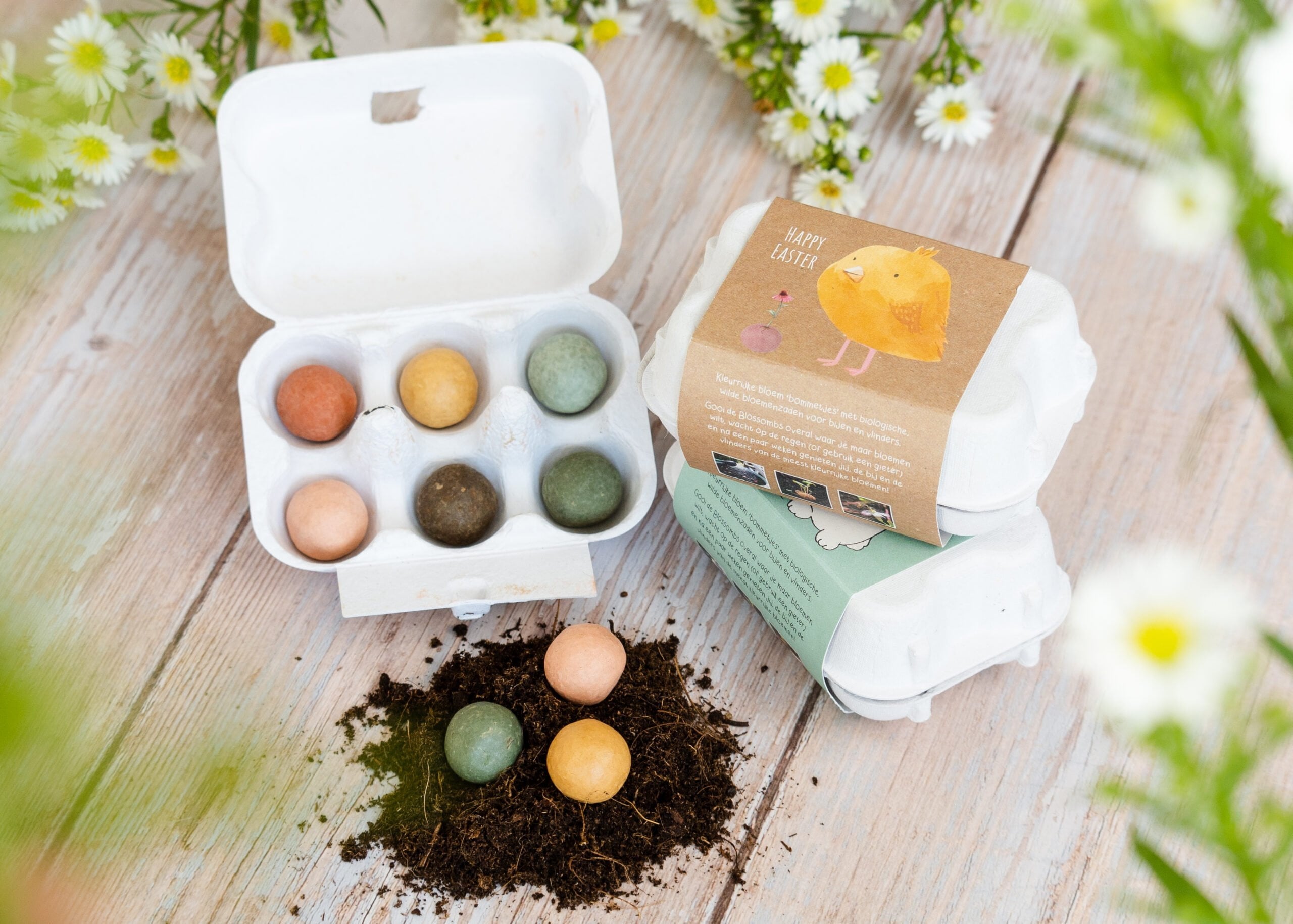 Blomsterfrø i æggebakke, Påskekylling, Blossombs