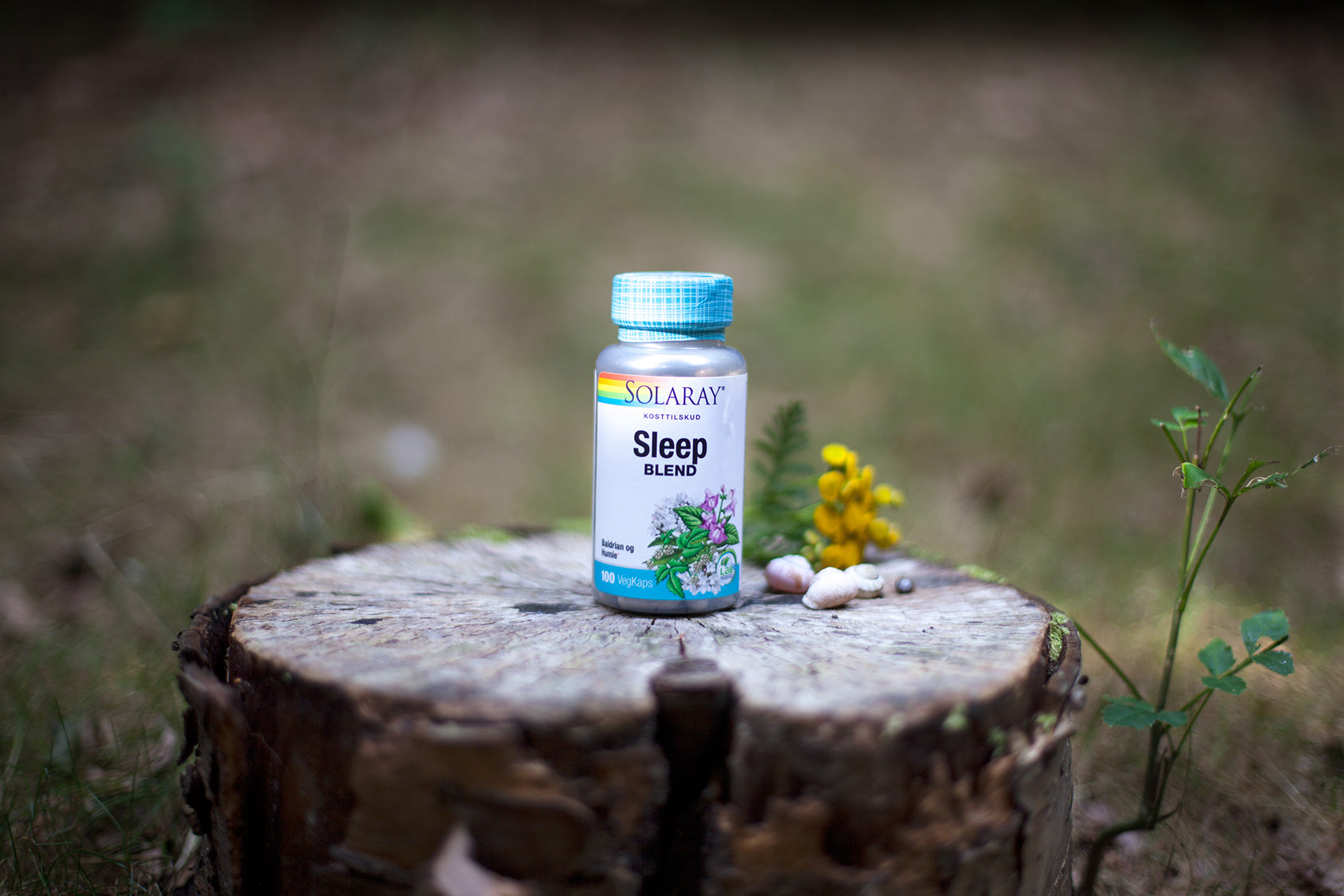 Sleep Blend, 100 kap., Solaray