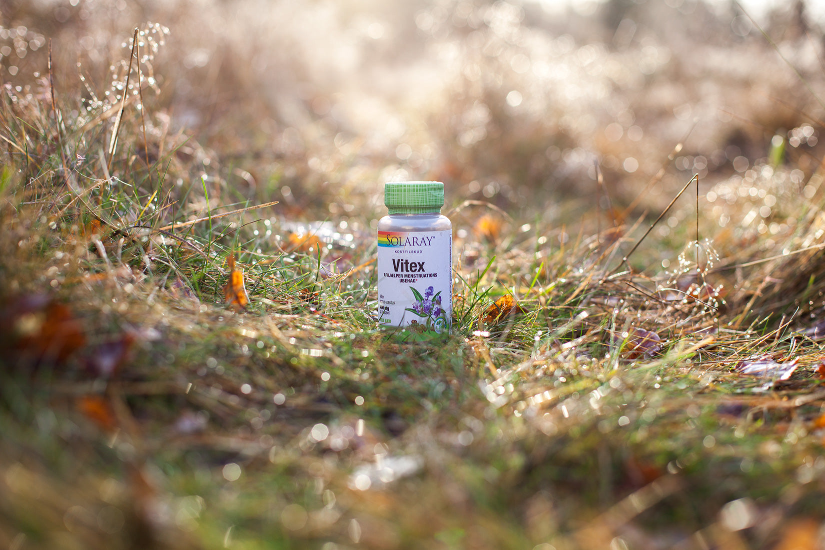 Vitex, 100 kap., Solaray